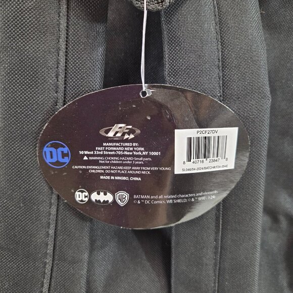 Kids Backpack Bundle DC Batman + Disney Princess Fast Forward Designs NWT - Picture 4 of 11